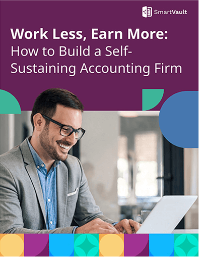 How to Build a Self-Sustaining Accounting Firm ebook